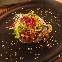 Taco  at MIMO in Malaga