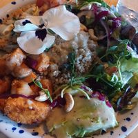 Bowl at MIMO in Malaga