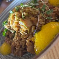 Arroz Mimo   at MIMO in Malaga