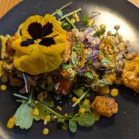 Papa Magica at MIMO in Malaga