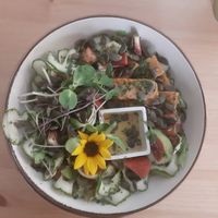 Amazing salad with tempeh at MIMO in Malaga