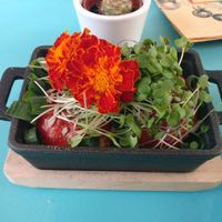 Baked tomatoes at MIMO in Malaga