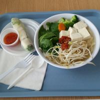 veggie noodle soup and a tofu spring roll at Souper Bowl in Anchorage