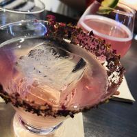 Cocktails   at Suissi Vegan Kitchen  in Glasgow
