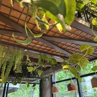   at Honest Greens - Serrano in Madrid