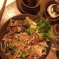 vegan duck, home made soy sauce with salad and noodles, topped with peanuts at SEN - taste of Asia in Loerrach