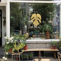 Zo leuk! at Wonderwoud in Maastricht