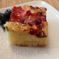 Vegan fruit cake at Catz Cafe in Dusseldorf