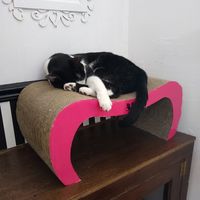 Relaxing at Catz Cafe in Dusseldorf