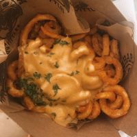 the curly fries are SO GOOD at Dharma Southern Kitchen in Tampa