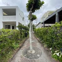   at Cafe Halcyon in Chatan