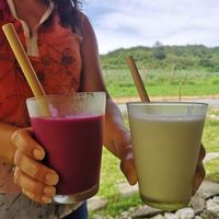 Pina colada (virgin) and dragon fruit smoothie  at Parlor Neppu Asia in Naha