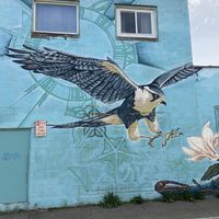 The mural .  at Natural Oasis Cafe in Rochester