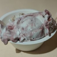The blueberry jam ice cream is the bomb! at KOKOS Ice Cream (West Nash) in Nashville