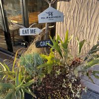 Exterior  at Mr Farmer in Sodegaura