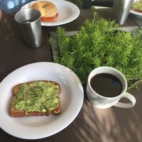 avocado toast at Date & Thyme - Help Yourself in Key West