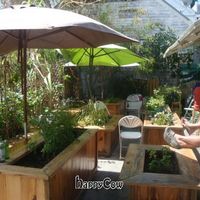courtyard at Date & Thyme - Help Yourself in Key West