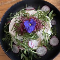 Pancakes salés fromage frais et houmous   at Mōpa in Paris
