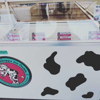 Vegan flavors at Chocolate Shoppe Ice Cream Co in Madison
