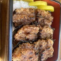 Eel  at Uki Green in Warsaw