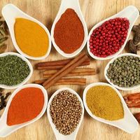 Vegan, vegeterian, meat. Gluten free. Bear ,  indian beer
. We serve typical  indian food..spicy, without  spicy . Sweet we have all type of dish.. just try one day our food at Masala in L Estartit