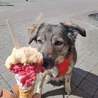  at Bargello in Luxembourg City