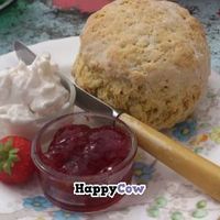Vegan Scones at Johnny's cafe in Hayle Cornwal. WOW WOW WOW. I need to get the recipie :-) at Johnny's Cafe in Hayle