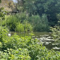   at The Brampton Mill in Huntingdon