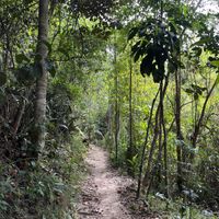   at Universo Pol Bamboo Hostel in Morro De Sao Paulo