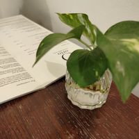 Menù at Orto in Gubbio