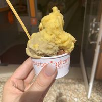 Tree flavour cup at Gelateria Gianni in Bologna