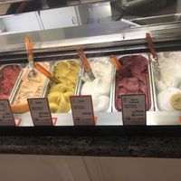Vegan flavors   at Gelateria Gianni in Bologna