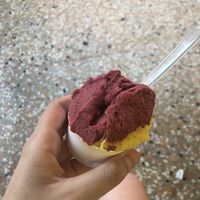 Frutti di bosco and mango   at Gelateria Gianni in Bologna