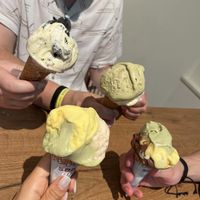   at Gelateria Gianni in Bologna