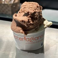   at Gelateria Gianni in Bologna