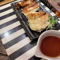 Vegan gyoza at OKO Okonomiyaki in Osaka
