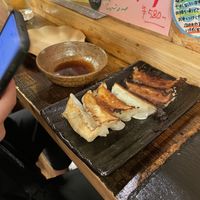 Vegan Gyoza   at OKO Okonomiyaki in Osaka
