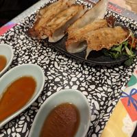Vegan gyoza at OKO Okonomiyaki in Osaka