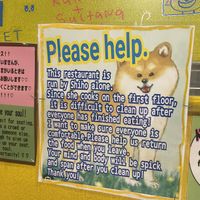 Clean up!  at OKO Okonomiyaki in Osaka