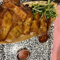 Vegan gyoza! 😍  at OKO Okonomiyaki in Osaka