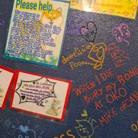  at OKO Okonomiyaki in Osaka