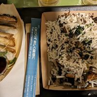 Vegan okonomiyaki and gyoza at OKO Okonomiyaki in Osaka