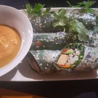 Rollets at CactusCat Bar in Barcelona