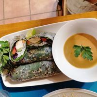 Summer rolls at CactusCat Bar in Barcelona