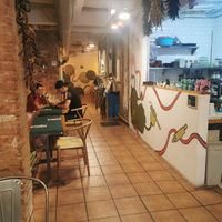 Interior at CactusCat Bar in Barcelona