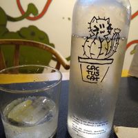 Bottle at CactusCat Bar in Barcelona