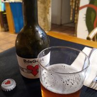 Artesanal beer at CactusCat Bar in Barcelona