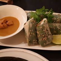 Thai summer rolls at CactusCat Bar in Barcelona