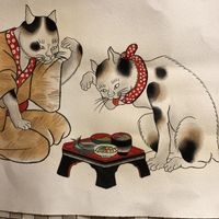 Inside  at CactusCat Bar in Barcelona