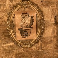 interior   at CactusCat Bar in Barcelona